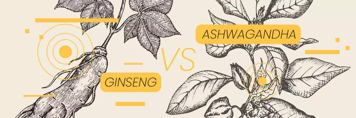 Ashwagandha vs Ginseng: ¿cuál elegir?