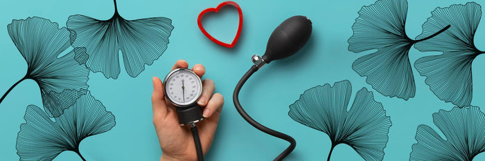 El Ginkgo Biloba ¿sirve para los hipertensos?