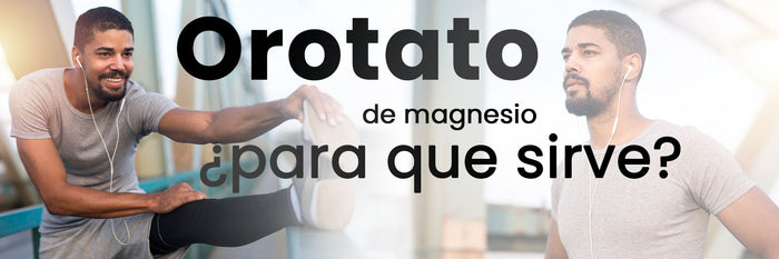 Orotato de magnesio: para qué sirve y sus 7 beneficios