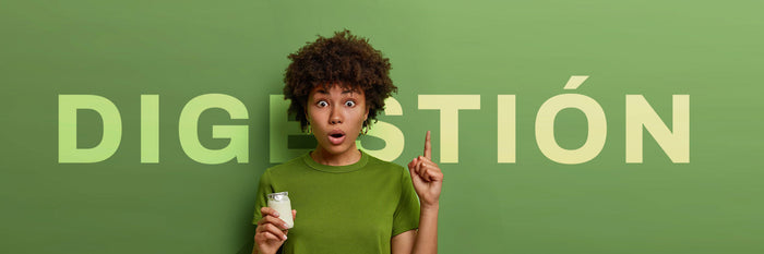 Suplementos para la digestión: guía completa