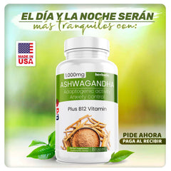 Oferta Ashwagandha + Glicinato de magnesio + Melatonina + L Treonato Lleva Gratis Citrato Magnesio + Potasio
